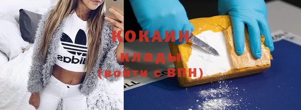 гашик Покровск