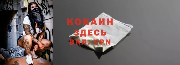 крисы Покачи