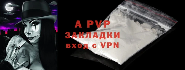 крисы Покачи