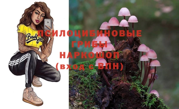 крисы Покачи