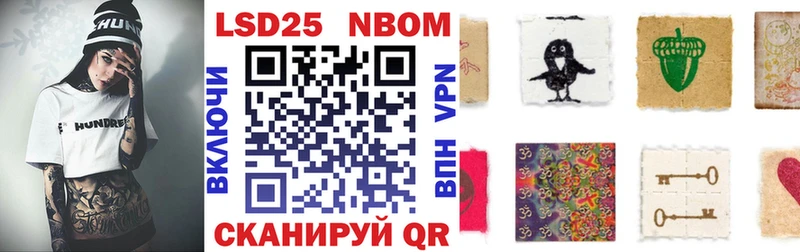 ссылка на мегу как войти  Куртамыш  Марки N-bome 1,8мг  shop формула  наркотики 