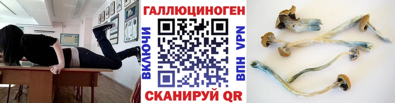 Галлюциногенные грибы Psilocybe наркота blacksprut ссылки Куртамыш